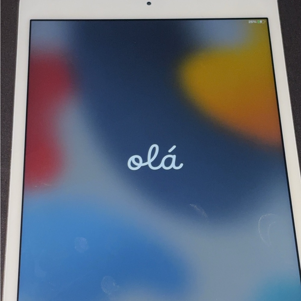 2015 Apple iPad mini Wi Fi 32 GB Gold (4th Generation)